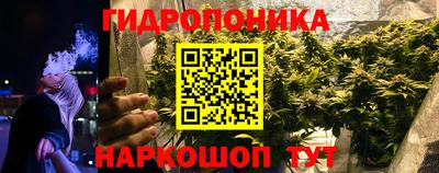 ECSTASY Заволжье